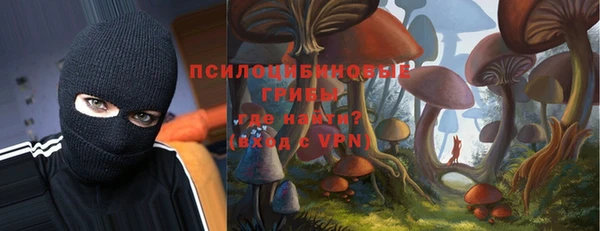 стаф Алексеевка