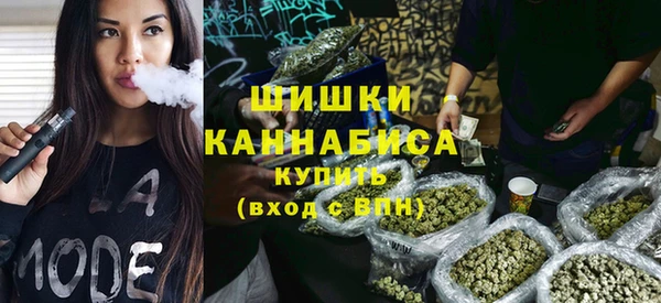 ПСИЛОЦИБИНОВЫЕ ГРИБЫ Алексин