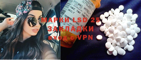 ПСИЛОЦИБИНОВЫЕ ГРИБЫ Алзамай