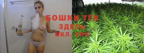 ПСИЛОЦИБИНОВЫЕ ГРИБЫ Алзамай