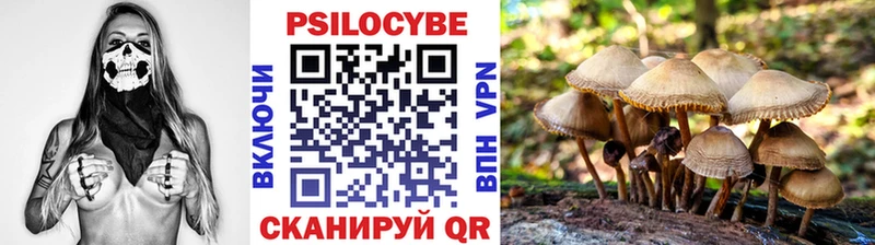 Псилоцибиновые грибы Cubensis Усть-Илимск