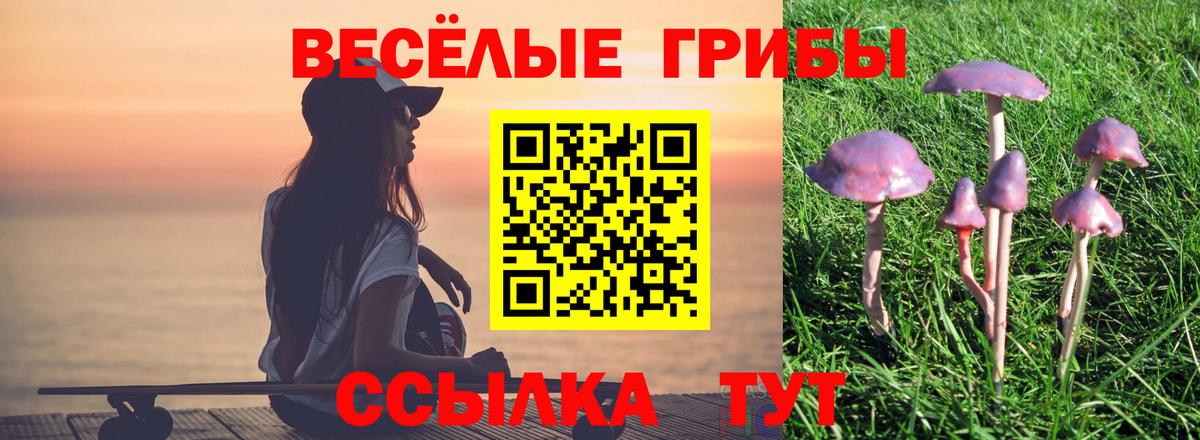 Галлюциногенные грибы мухоморы Усть-Илимск
